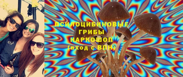 сатива Алексин