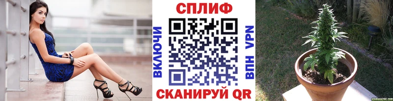 цены Сенгилей Бошки Шишки тримм